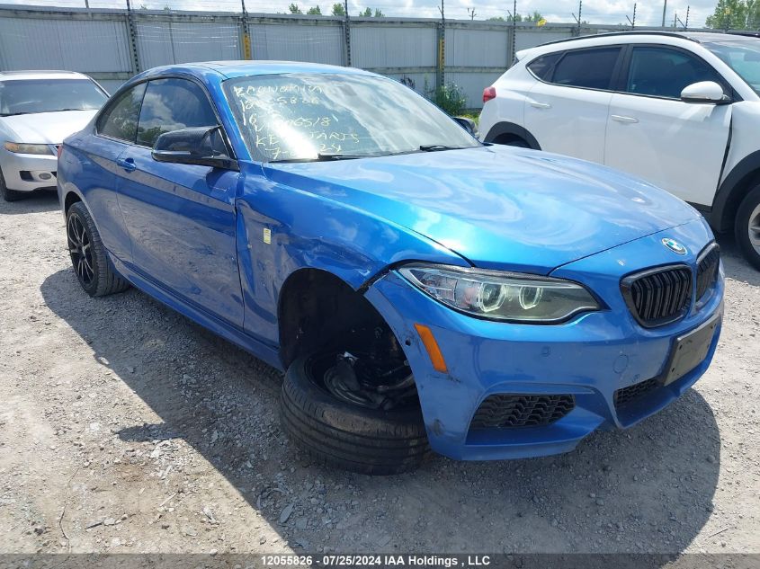 2016 BMW 2 Series VIN: WBA1J9C5XGV696518 Lot: 12055826