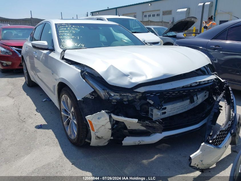 2022 Cadillac Ct5 VIN: 1G6DT5RW6N0124636 Lot: 12055844