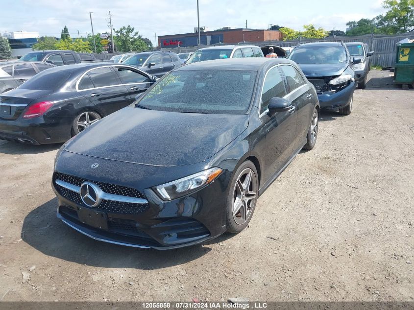 2019 Mercedes-Benz A 250 4Mtic VIN: WDD3F4HB5KJ099538 Lot: 12055858