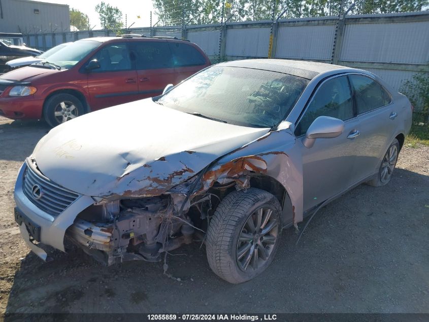 2007 Lexus Es 350 350 VIN: JTHBJ46G372089884 Lot: 12055859