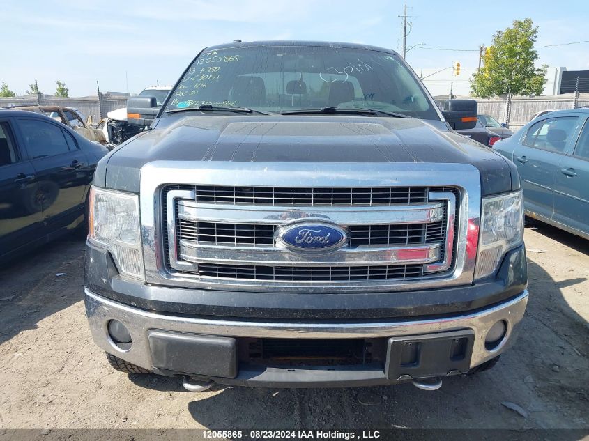 2013 Ford F150 Super Cab VIN: 1FTFX1ET1DFC30101 Lot: 12055865