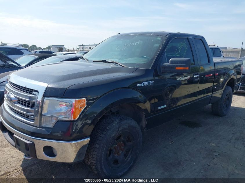 2013 Ford F150 Super Cab VIN: 1FTFX1ET1DFC30101 Lot: 12055865