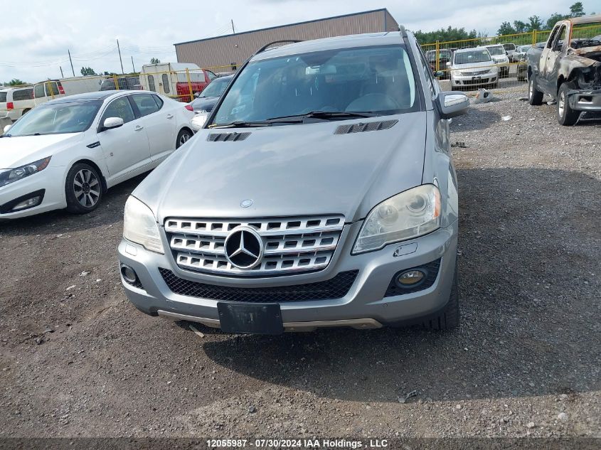 2010 Mercedes-Benz Ml-Class VIN: 4JGBB2FB5AA537655 Lot: 12055987