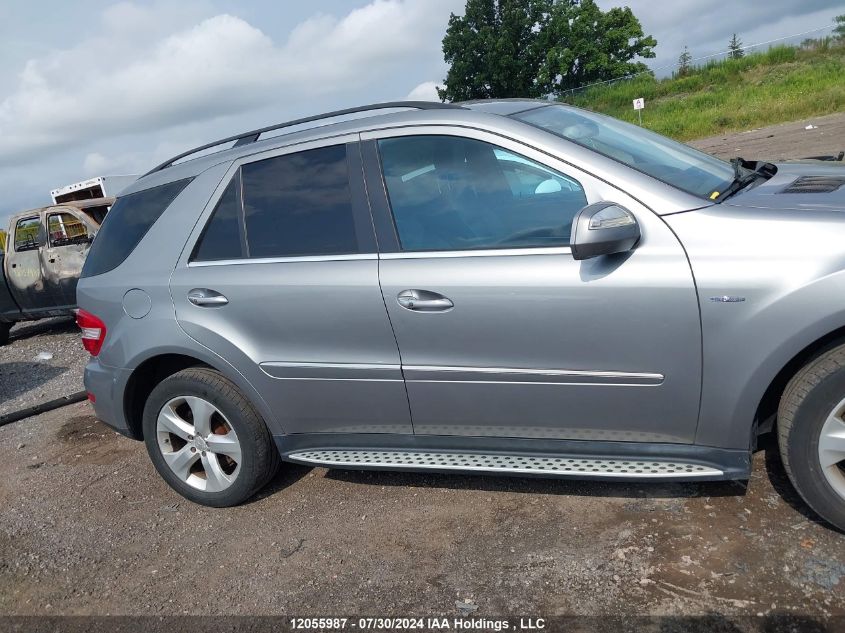 2010 Mercedes-Benz Ml-Class VIN: 4JGBB2FB5AA537655 Lot: 12055987