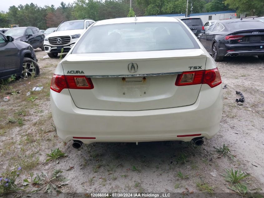 2011 Acura Tsx VIN: JH4CU2F51BC800144 Lot: 12056054