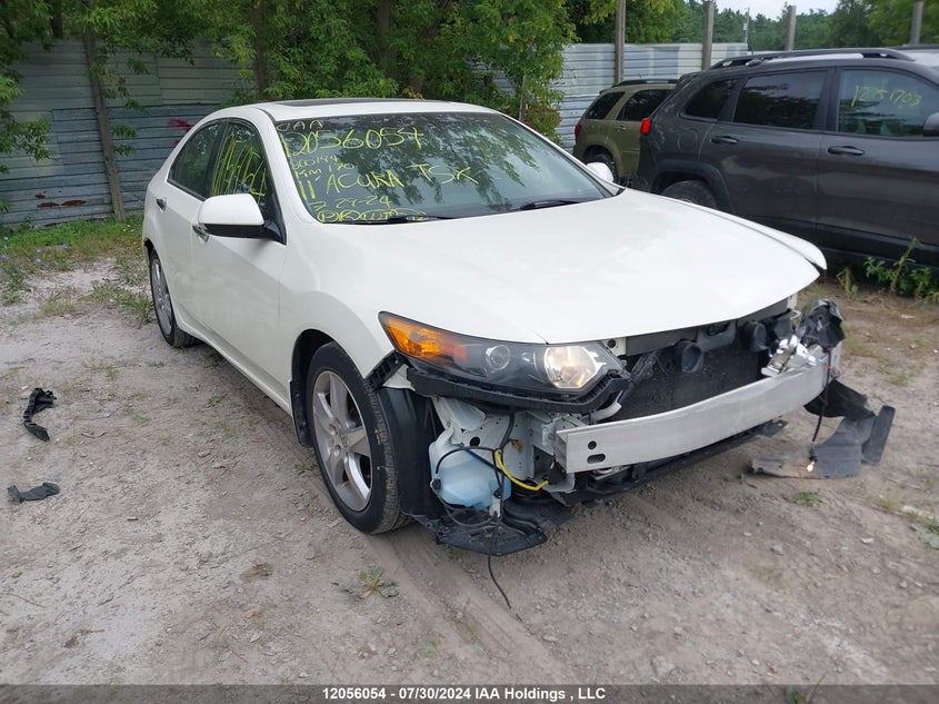 2011 Acura Tsx VIN: JH4CU2F51BC800144 Lot: 12056054