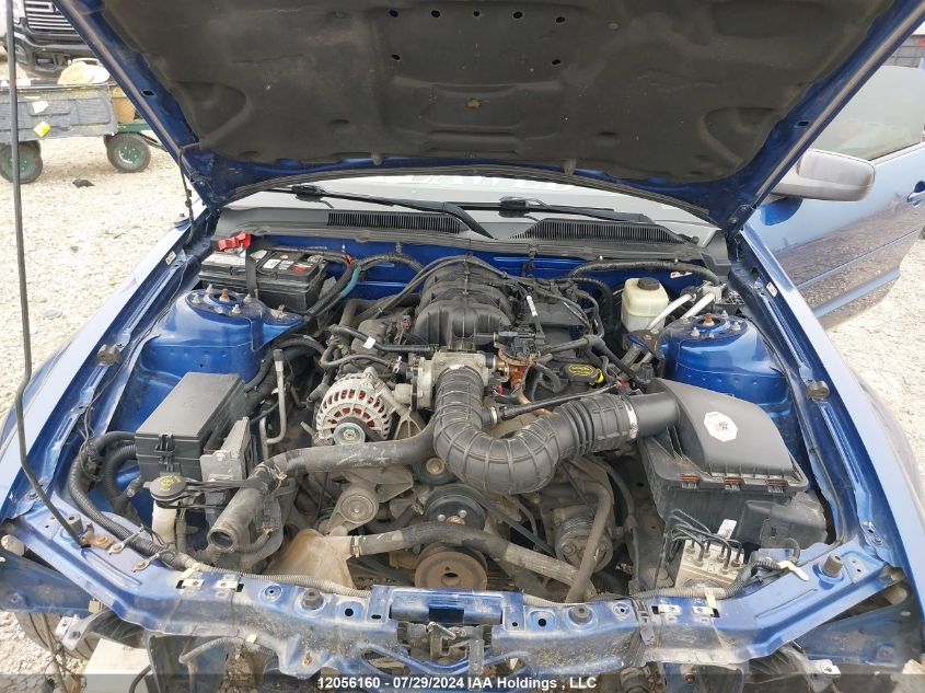 2006 Ford Mustang VIN: 1ZVFT80N665225575 Lot: 12056160