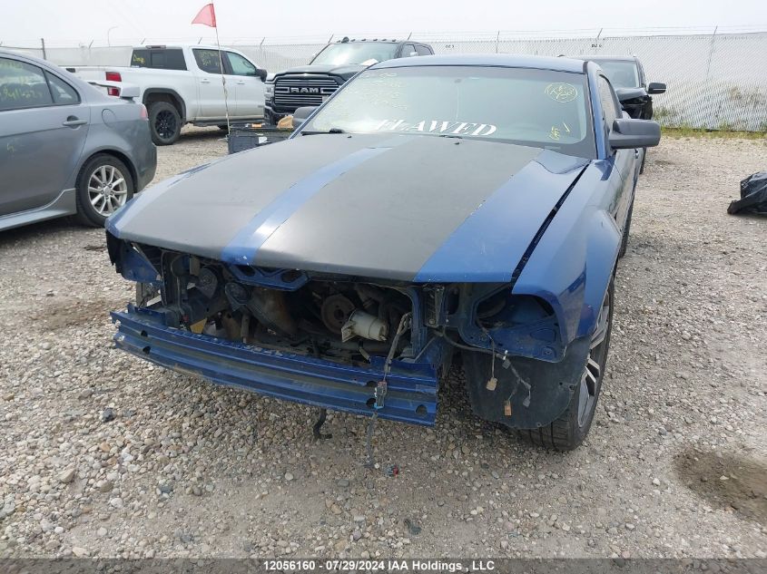 2006 Ford Mustang VIN: 1ZVFT80N665225575 Lot: 12056160
