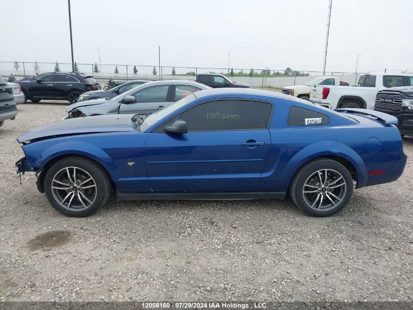 2006 Ford Mustang VIN: 1ZVFT80N665225575 Lot: 12056160
