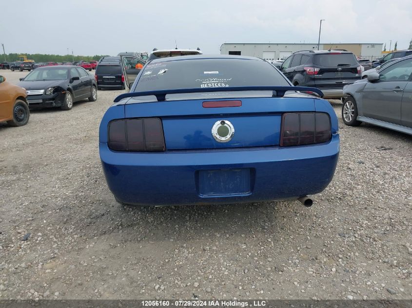 2006 Ford Mustang VIN: 1ZVFT80N665225575 Lot: 12056160