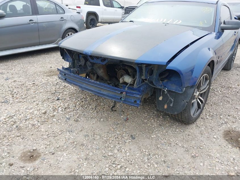 2006 Ford Mustang VIN: 1ZVFT80N665225575 Lot: 12056160