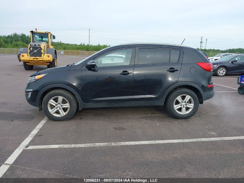 2015 Kia Sportage VIN: KNDPB3AC8F7777366 Lot: 12056231