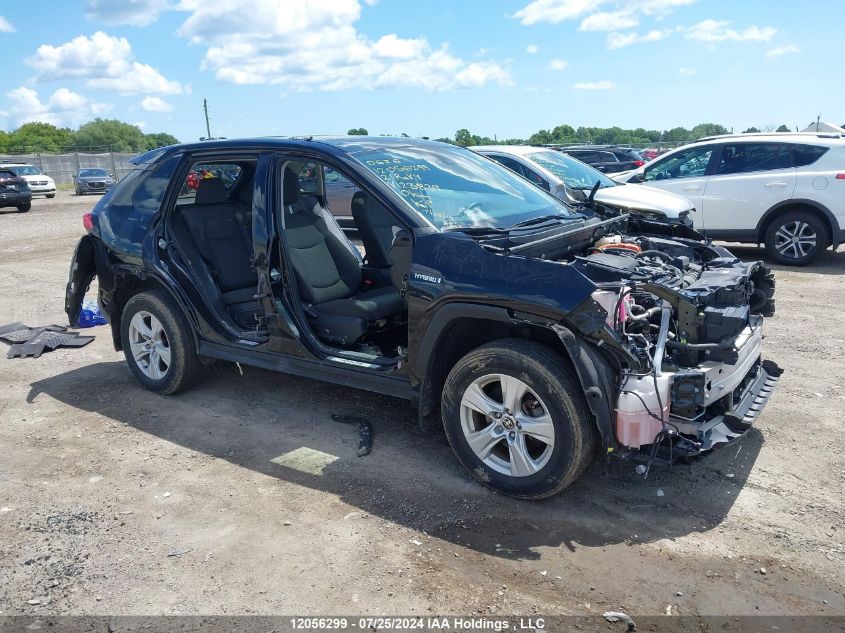 2021 Toyota Rav4 VIN: 2T3RWRFV5MW123839 Lot: 12056299