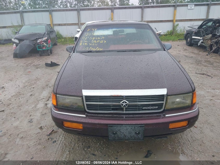 1992 Dodge Spirit VIN: 1B3XA46K2NF116527 Lot: 12056352