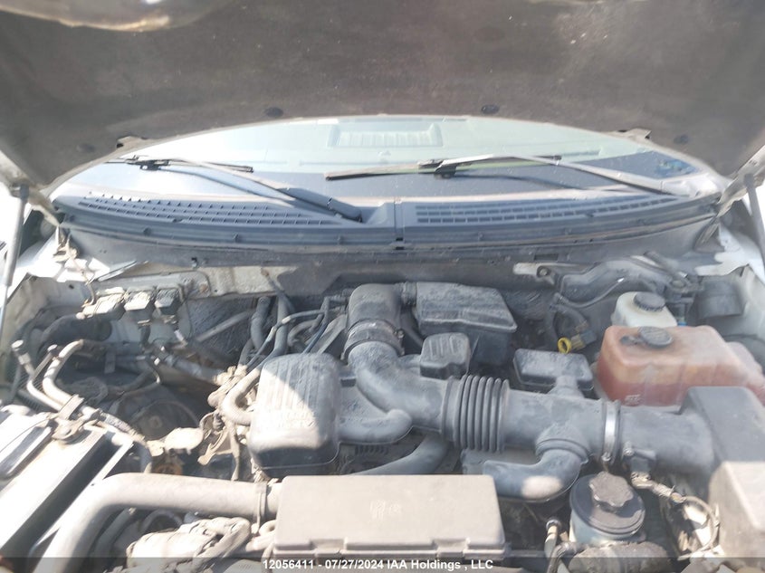 2010 Ford F-150 VIN: 1FTFW1EV1AFB80641 Lot: 12056411