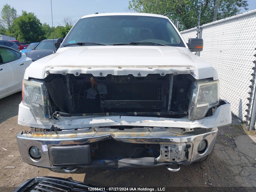 2010 Ford F-150 VIN: 1FTFW1EV1AFB80641 Lot: 12056411