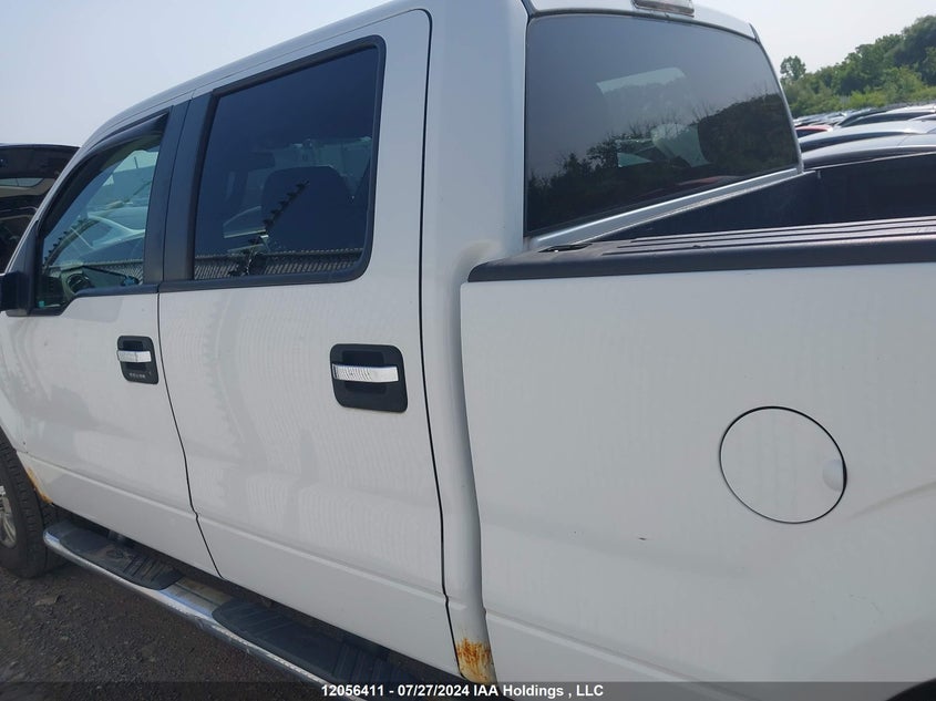 2010 Ford F-150 VIN: 1FTFW1EV1AFB80641 Lot: 12056411