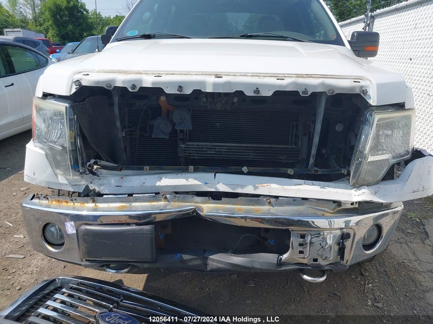 2010 Ford F-150 VIN: 1FTFW1EV1AFB80641 Lot: 12056411