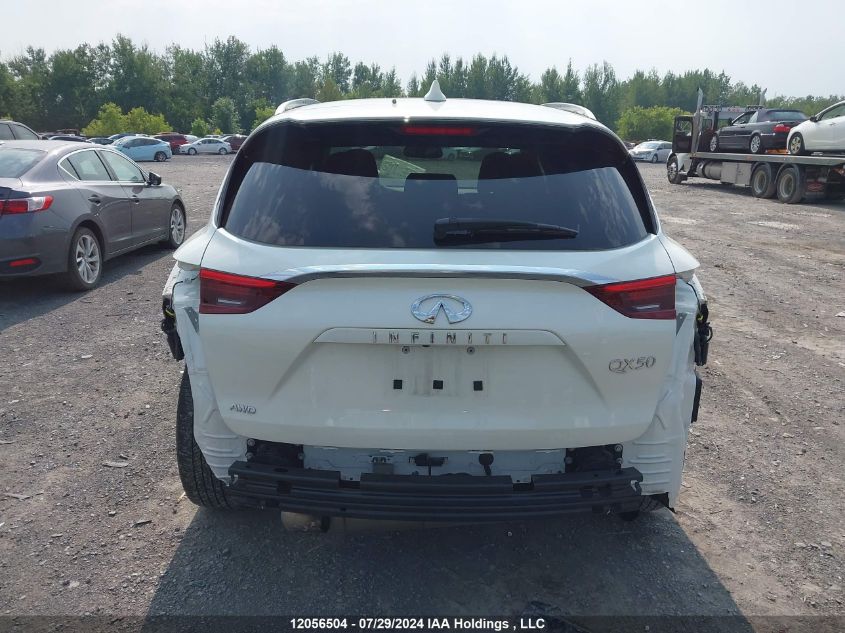 2019 Infiniti Qx50 VIN: 3PCAJ5M38KF142989 Lot: 12056504