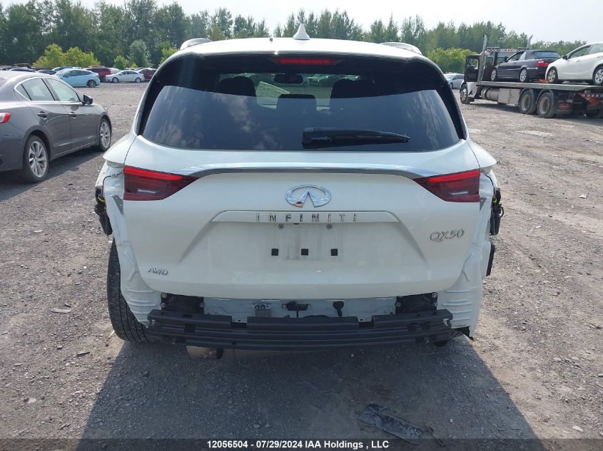 2019 Infiniti Qx50 VIN: 3PCAJ5M38KF142989 Lot: 12056504