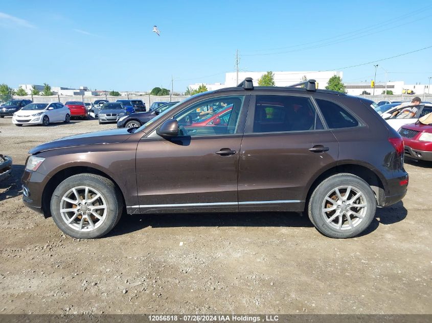 2013 Audi Q5 VIN: WA1CFCFP5DA013547 Lot: 12056518