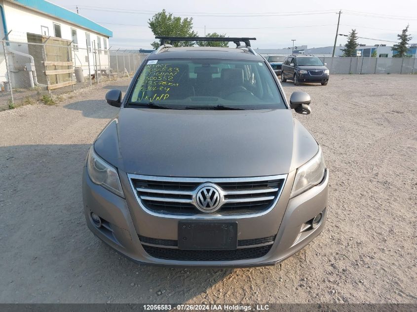 2011 Volkswagen Tiguan VIN: WVGBV7AX3BW500552 Lot: 12056583