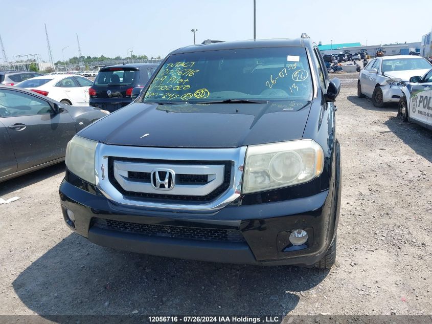 2009 Honda Pilot VIN: 5FNYF48569B502020 Lot: 12056716