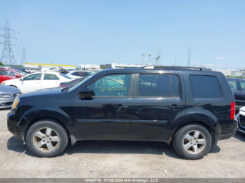 2009 Honda Pilot VIN: 5FNYF48569B502020 Lot: 12056716
