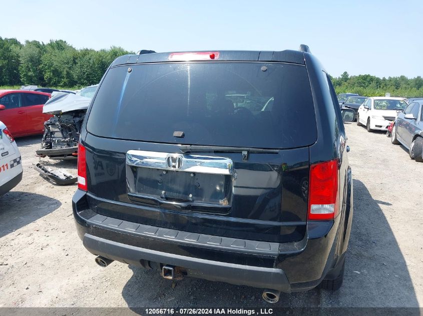 2009 Honda Pilot VIN: 5FNYF48569B502020 Lot: 12056716