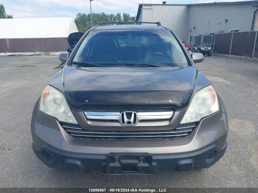 2009 Honda Cr-V VIN: 5J6RE48769L812359 Lot: 12056867