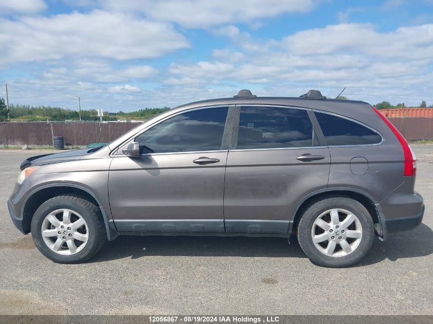 2009 Honda Cr-V VIN: 5J6RE48769L812359 Lot: 12056867