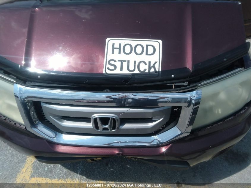 2010 Honda Pilot VIN: 5FNYF4H45AB502926 Lot: 12056881