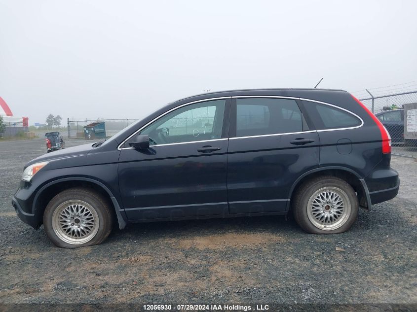 2007 Honda Cr-V VIN: 5J6RE48317L803207 Lot: 12056930