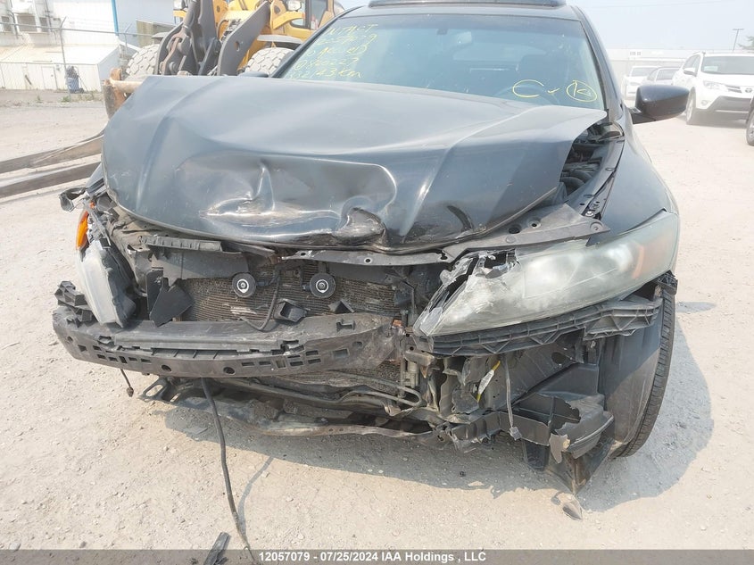 2010 Honda Accord Crosstour VIN: 5J6TF2H53AL800227 Lot: 12057079