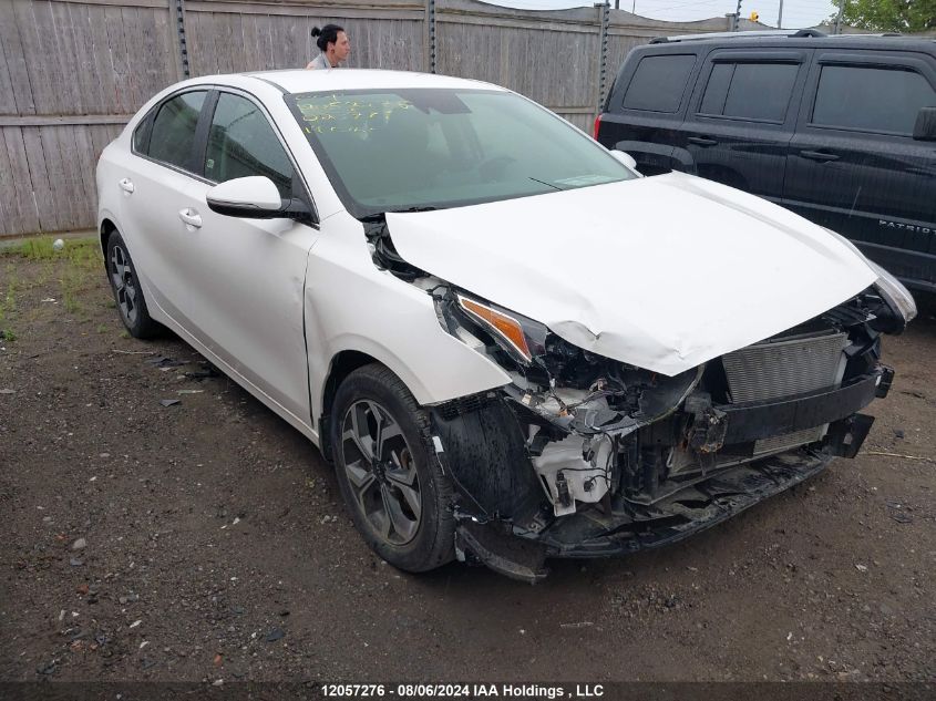 2019 Kia Forte VIN: 3KPF54AD2KE023777 Lot: 12057276