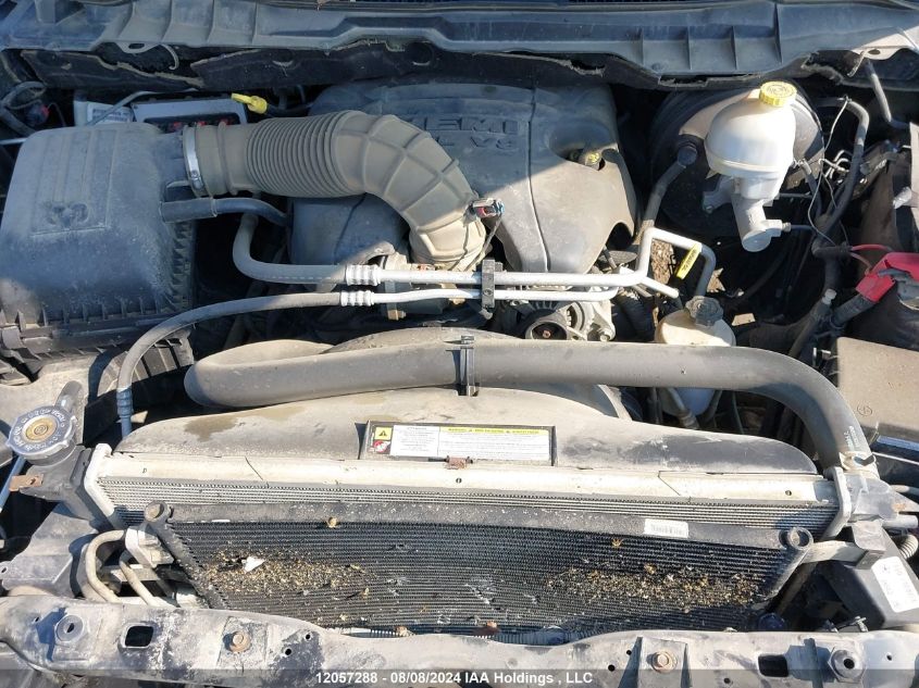 2010 Dodge Ram 1500 VIN: 1D7RV1GTXAS102609 Lot: 12057288