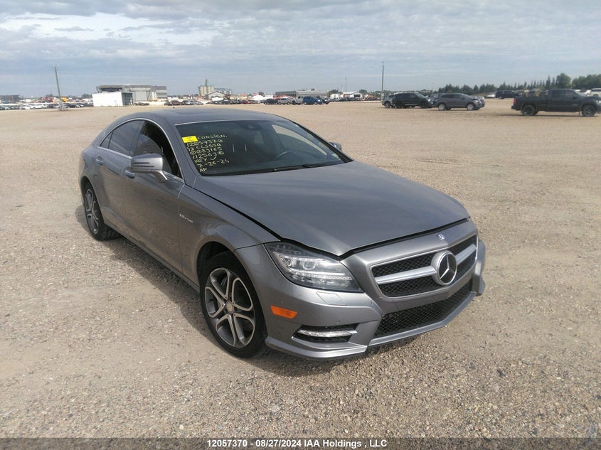 2013 Mercedes-Benz Cls 550 4Matic VIN: WDDLJ9BB9DA089165 Lot: 12057370