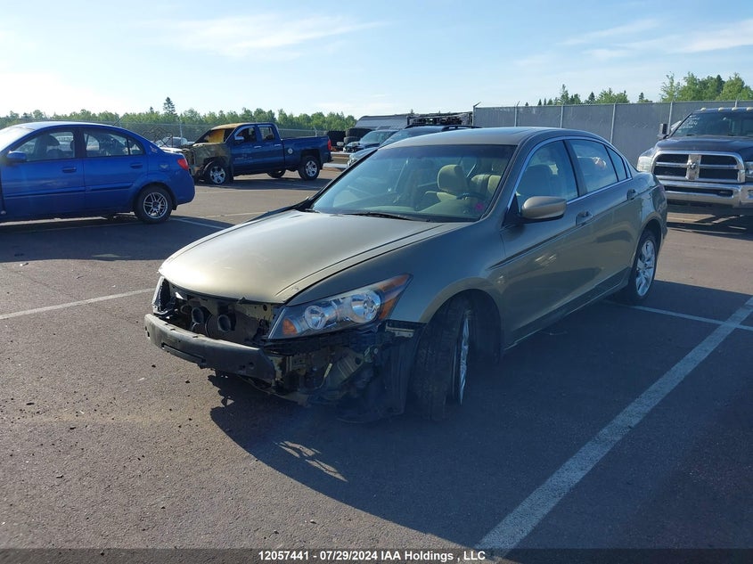 2010 Honda Accord Sedan VIN: 1HGCP2F78AA805007 Lot: 12057441