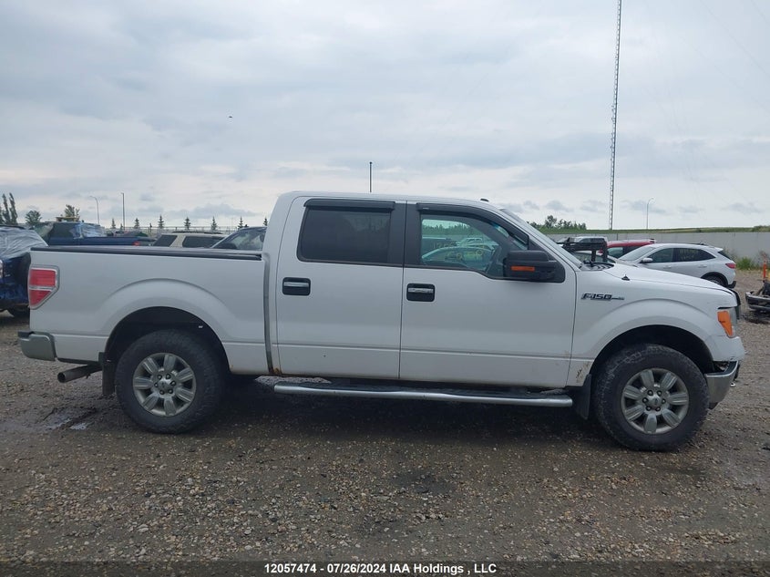 2012 Ford F-150 Xlt VIN: 1FTFW1EF6CKD62905 Lot: 12057474