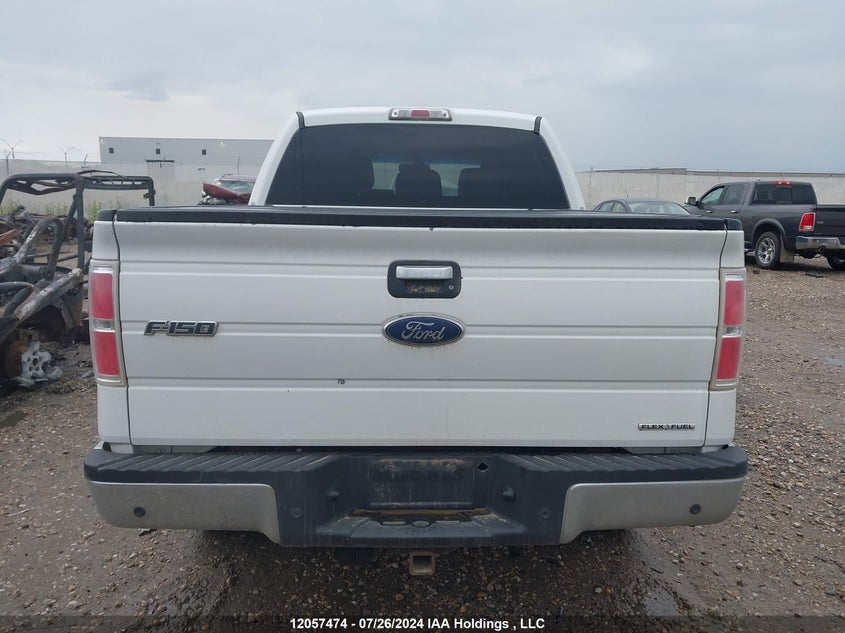 2012 Ford F-150 Xlt VIN: 1FTFW1EF6CKD62905 Lot: 12057474