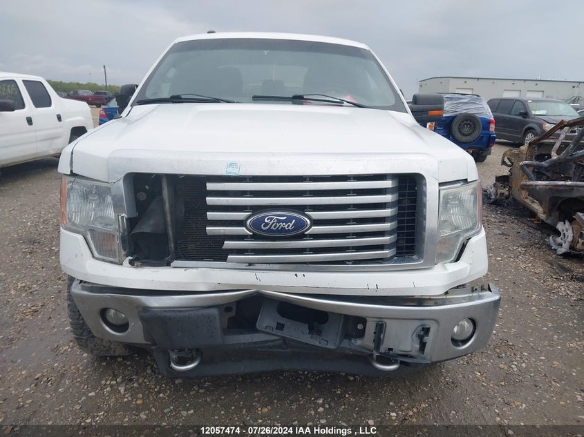 2012 Ford F-150 Xlt VIN: 1FTFW1EF6CKD62905 Lot: 12057474