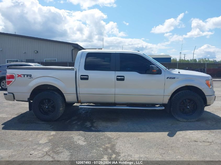 2010 Ford F-150 VIN: 1FTFW1EV7AFC38249 Lot: 12057493