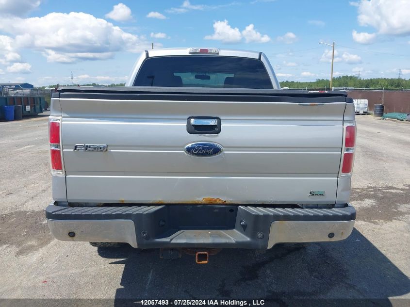 2010 Ford F-150 VIN: 1FTFW1EV7AFC38249 Lot: 12057493