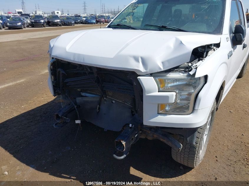 2016 Ford F-150 Xlt VIN: 1FTFX1EF1GKF59015 Lot: 12057586