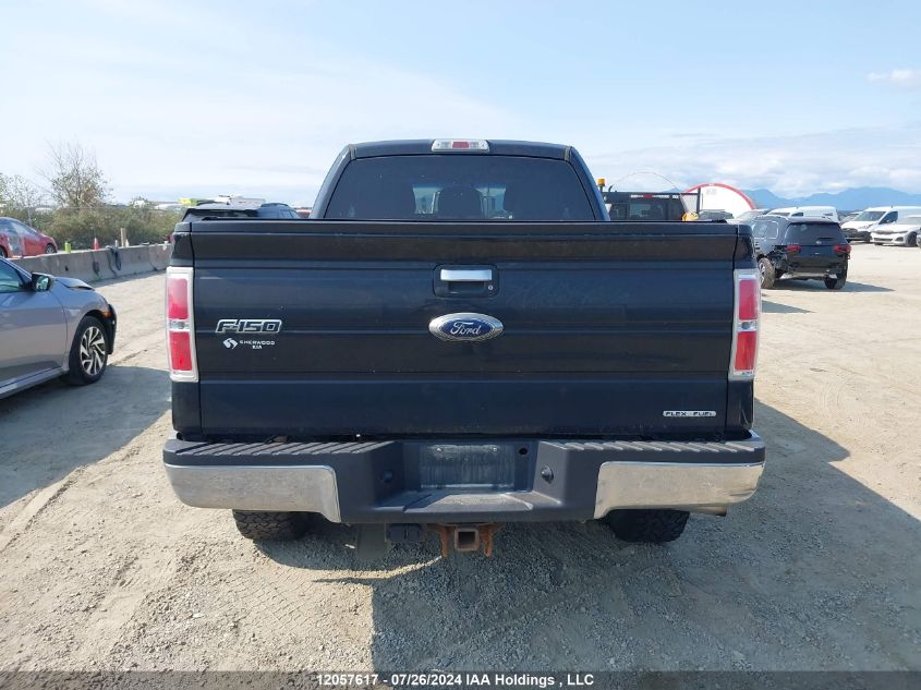 2011 Ford F-150 Xlt VIN: 1FTFX1EF9BFA97773 Lot: 12057617