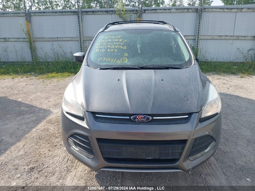 2014 Ford Escape VIN: 1FMCU0G91EUA24762 Lot: 12057687