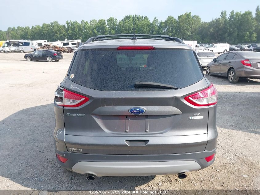 2014 Ford Escape VIN: 1FMCU0G91EUA24762 Lot: 12057687