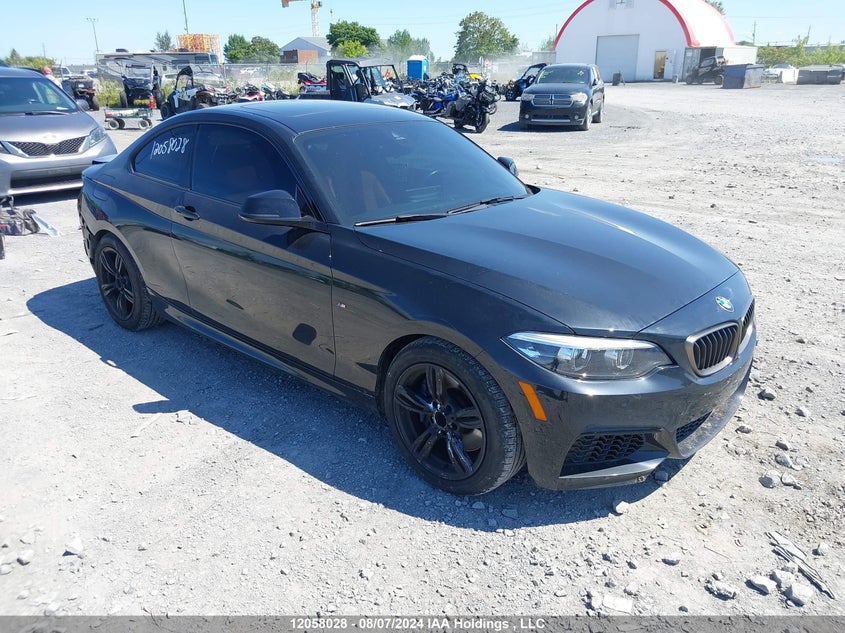 2020 BMW 2 Series VIN: WBA2J7C02L7F64867 Lot: 12058028