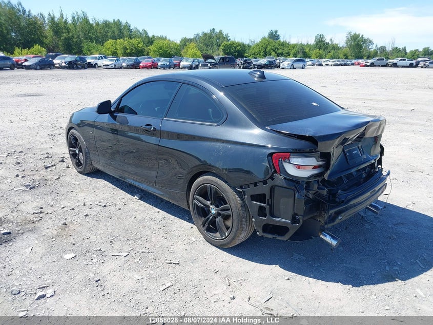 2020 BMW 2 Series VIN: WBA2J7C02L7F64867 Lot: 12058028