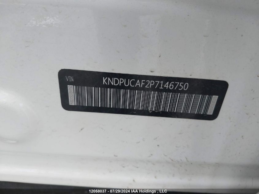 2023 Kia Sportage VIN: KNDPUCAF2P7146750 Lot: 12058037